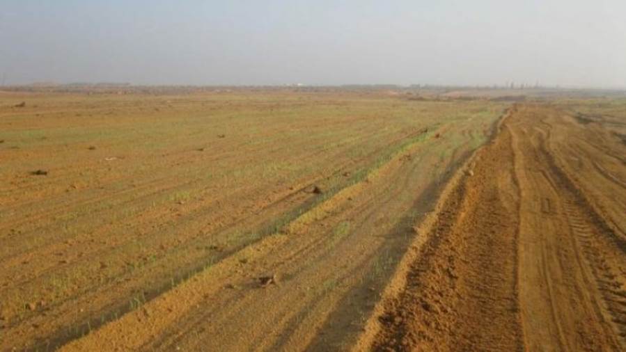 إطلاق المنصة الوطنية لتقنين أراضي الدولة 