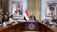 الحكومة تدرس إنشاء كيان موحد للمطورين العقاريين لتنظيم السوق العقاري 
