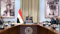 «مدبولى» يبحث إنشاء مركز توزيع لوجيستي عالمي بـ«اقتصادية قناة السويس»