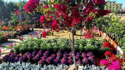 إفتتاح معرض زهور الربيع 2020 بمدينة الشروق