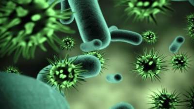 بعد ظهوره في الصين.. هل يشكل " فيروس هانتا " خطرًا مثل كورونا؟