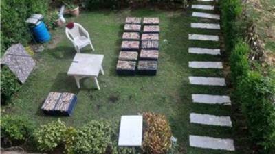 بالصور والتفاصيل.. حقيقة القبض على صينيين بمدينتي في حفل شواء للثعابين