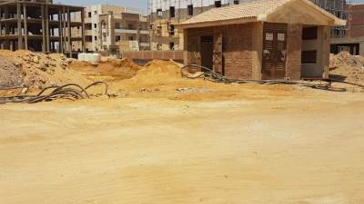 " القرنفــــــل".. جريمة فى الحى الراقى