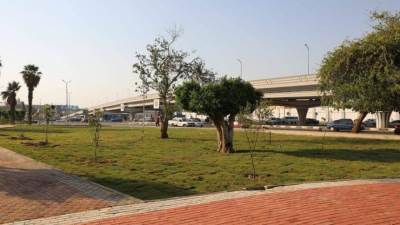 وزارة البيئة تنفذ حملة تشجير بحديقة ألماظة