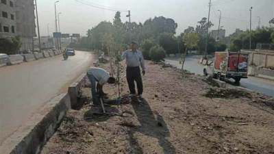 تشجير مطالع ومنازل الطريق الدائري بشارع ترعة الإسماعيلية بالخصوص
