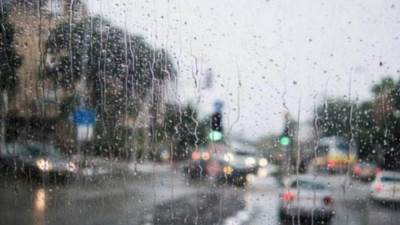 جهاز حدائق أكتوبر يرفع درجة الاستعداد لاستقبال موسم الشتاء بالمدينة