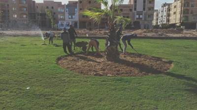 للحفاظ على المزروعات.. تكثيف فرق صيانة المسطحات الخضراء في «الشروق» (صور)