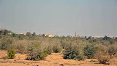 «المجتمعات العمرانية»: فتح باب التقدم كمهلة أخيرة للتعامل على أراضي «الحزام الأخضر» بأكتوبر