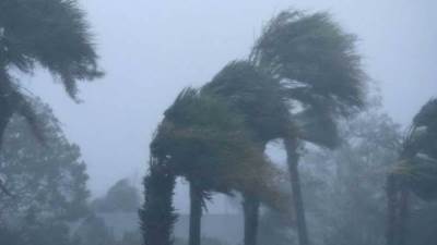 محافظتا القاهرة والجيزة تعلقان الدراسة غداً لسوء الأحوال الجوية