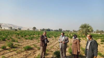 لجنة تسعير أملاك الدولة بالقوصية تواصل أعمال التقنين واسترداد حق الشعب 