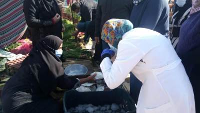  «العاشر من رمضان»: إعدام 200 كيلو سمك وبرميل بوظة فاسدة (صور)