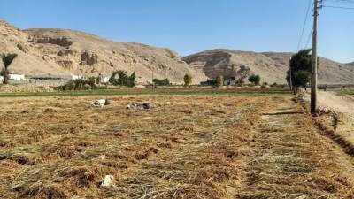  استمرار معاينات أراضي أملاك الدولة لتسعيرها وتقنين أوضاعها بأسيوط