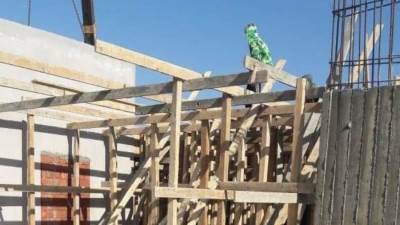 «القاهرة الجديدة» تنفذ حملات لضبط المخالفات ورفع الإشغالات ووصلات المياه الخلسة (صور)