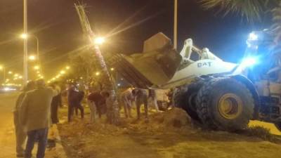 جهاز حدائق اكتوبر يزرع النخيل والأشجار المثمرة بالمدينة