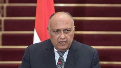 "الخارجية": مفاوضات "كينشاسا" بشأن سد النهضة لم تحقق تقدمًا ولم تفض إلى اتفاق