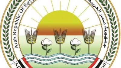 الزراعة: تحصين أكثر من 2 مليون رأس ماشية ضد مرض الجلد العقدي وجدري الأغنام