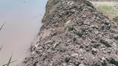 الرى تواصل شن حملات  إزالة التعديات  على نهر النيل