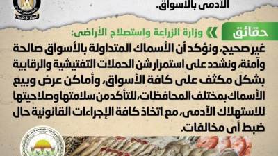  انتشار أسماك فاسدة وغير صالحة للاستهلاك الآدمي بالأسواق «شائعة»