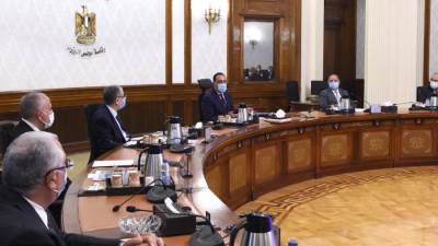 الحكومة تدرس طرح 296 ألف فدان من أراضي شركة تنمية الريف المصري للإستثمار