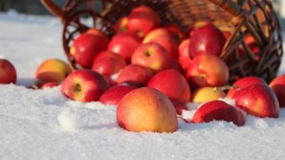 مزاد علني لبيع 16 طن تفاح مُهملة بالجمارك