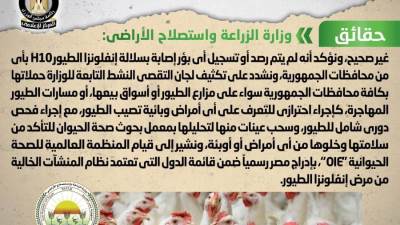 ظهور بؤر جديدة من فيروس إنفلونزا الطيور في مصر «شائعة»