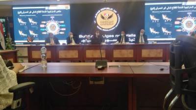 الرقابة المالية: وثيقة تأمين أجبارية على جواز السفر بدءا من أول يوليو