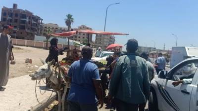 بالصور .. حملة مكبرة لإزالة الإشغالات بمدينة دمياط الجديدة