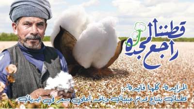 في أول مزاد للقطن موسم 2021-2022   ..  3715 جنيها سعر القنطار 