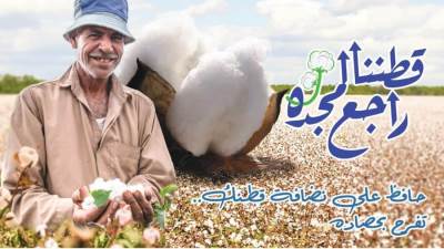 "قطاع الأعمال": بسعر 3865 جنيها للقنطار.. بيع 983 قنطار قطن في أحدث المزادات بالفيوم 
