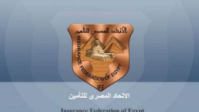 علاء الزهيري : وثيقة المصريين بالخارج متاحة في مقار السفارات المصرية