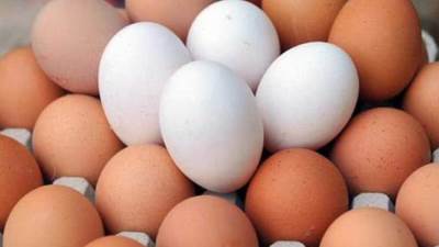 الغرف التجارية: إنتاج البيض والدواجن مُنضبط.. والأمر يدل على وجود خلل