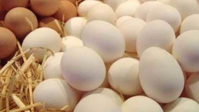 وزير الزراعة: طالبنا اتحاد الدواجن بضخ الدواجن والبيض بأسعار مناسبة