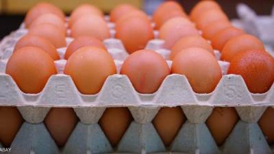 شعبة الدواجن: هذا السبب الحقيقي وراء ارتفاع أسعار البيض 