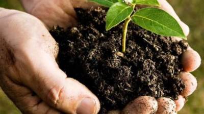 هشام الحصري: أزمة السماد مصطنعة لسوء الإدارة.. وننتج ضعف احتياجاتنا 