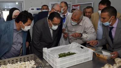 مدبولي يوجه بالسعي لتوطين صناعة الحرير بمصر 