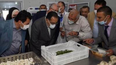 Madbouly directs to seek to localize the silk industry in Egypt