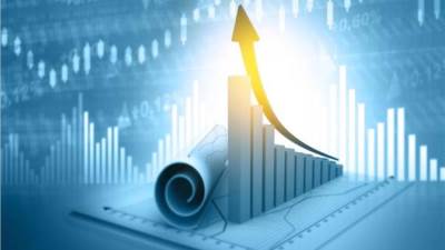 بعد الموافقة على قانون التخطيط الجديد.. أيمن غنيم: الاقتصاد المصري الحصان الأسود 