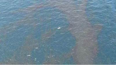 تلاشى بقعة السولار قبل قدومها لأسيوط وعينات مياه الشرب مطابقة للمواصفات