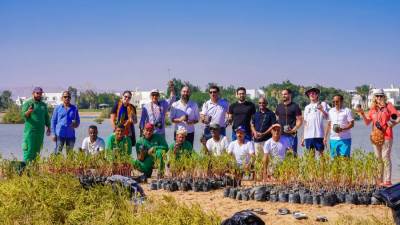 مدينة الجونة تشارك في النسخة الثانية عشر لقمة الصناعات الإبداعية (Creative Industry Summit)  