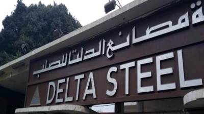 عضو مجلس نواب يكشف أسباب توقف شركة مصانع الدلتا للحديد والصلب