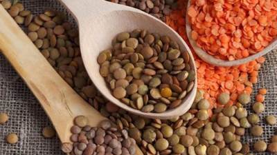 نقيب الفلاحين يكشف أسباب ارتفاع أسعار العدس