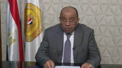 وزير التنمية المحلية : مصر تضع تجاربها التنموية الناجحة  في خدمة الأشقاء الأفارقة