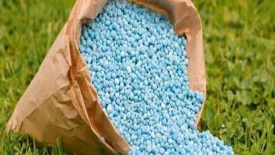 استاذ اقتصاد زراعي : زيادة أسعار الاسمدة عالميا تسبب في زيادتها بمصر