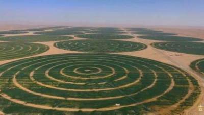 مدير محطة البحوث الزراعية: السيسي أعطى قبلة الحياة لمشروع توشكى