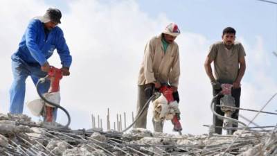 خبير اقتصادي: انخفاض معدل البطالة بعد تطبيق الإصلاح الاقتصادي