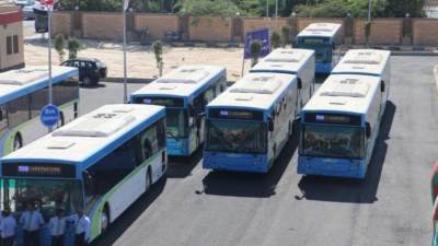 حسن مهدي: وضع تسعيرة محددة للنقل يعود بالنفع على المواطن والدولة