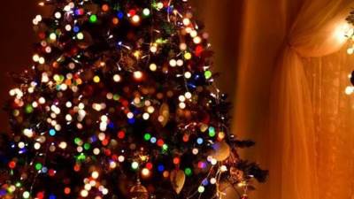 اجمل خلفيات شجرة الكريسماس 2022-2023  صور عن شجرة الكريسماس للتهنئة