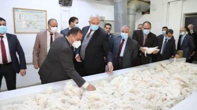 «القصير»: توفير أفضل «التقاوي» للمزارعين قبل الميعاد