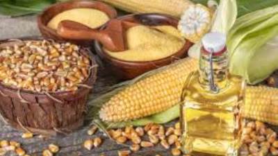 شعبة المستوردين: وقف تصدير الزيوت والذرة والقمح قرار مطمئن