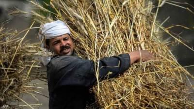 الزراعة: ندرس الحافز المناسب للمزارعين وطرحه خلال ساعات